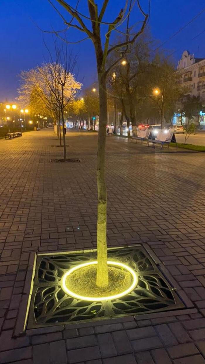 Приствольная решетка для дерева ZKING CRUST 1.2х1.2м Черная в Волхове фото